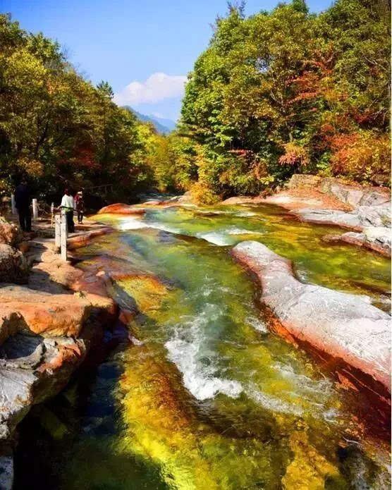 陕西青峰峡国家森林公园(国家aaaa级旅游景区)